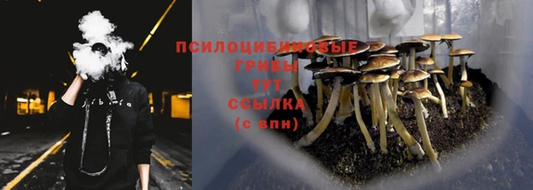 первитин Белокуриха