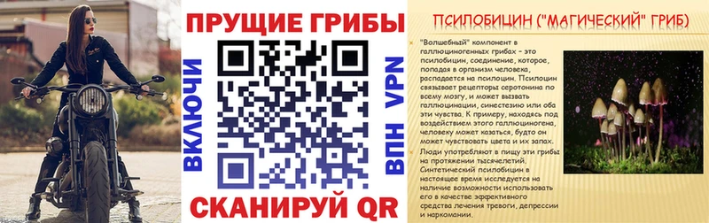 мега ссылки  купить наркоту  Щёкино  Галлюциногенные грибы Magic Shrooms 