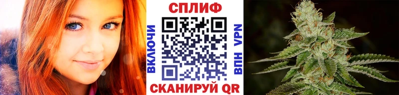Бошки марихуана THC 21%  наркотики  Щёкино 